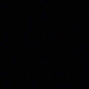 Meet your Posher, Dustin